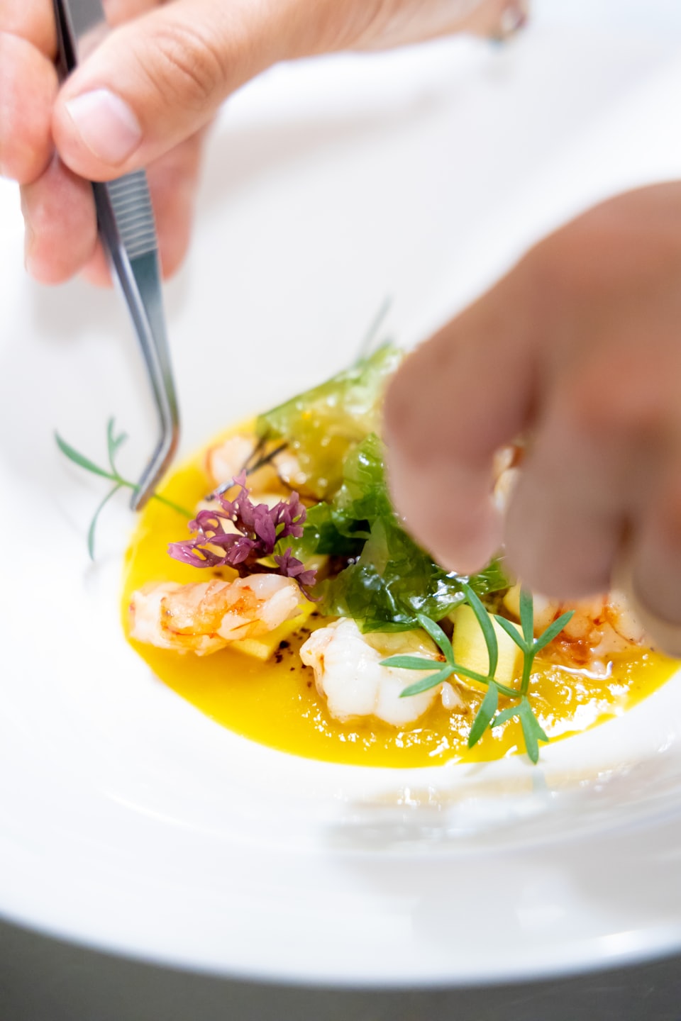 4da67d5514223ab9576e13c6a52b6ea71c3fe4f5